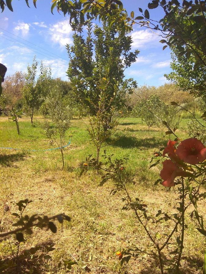 Panorama Palaiοpolis Hotell Palaiopoli  Eksteriør bilde